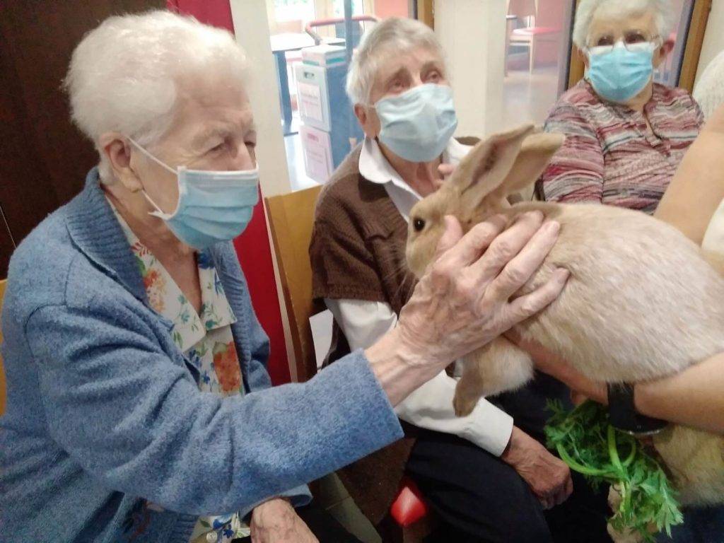 Clos Saint Jean Résidence Séniors - Médiation animale